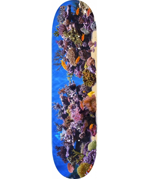 7.75MM MINI-LOGO FISH TANK MAPLE K20