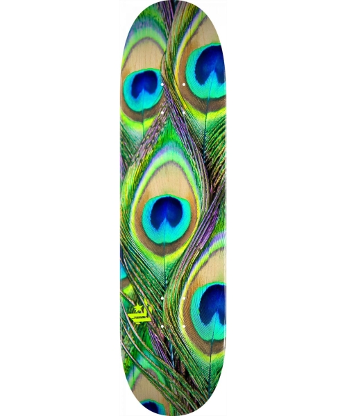 7.75 MINI-LOGO PEACOCK FEATHER MAPLE K20